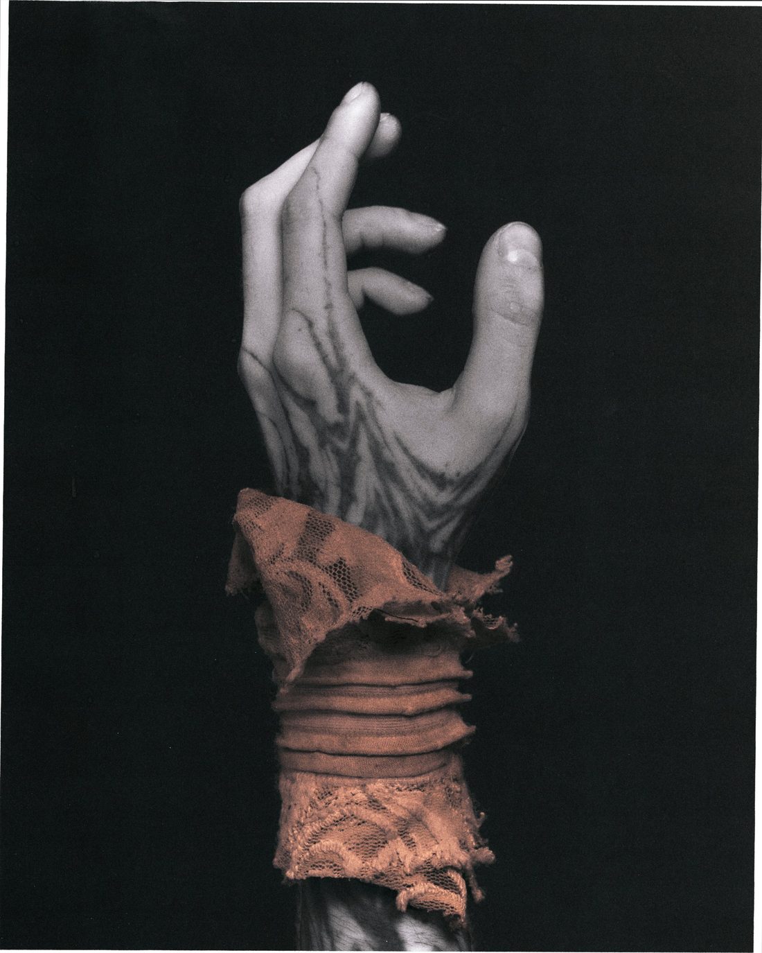 Voitko — photo 2 by Edgars Hecmatyars