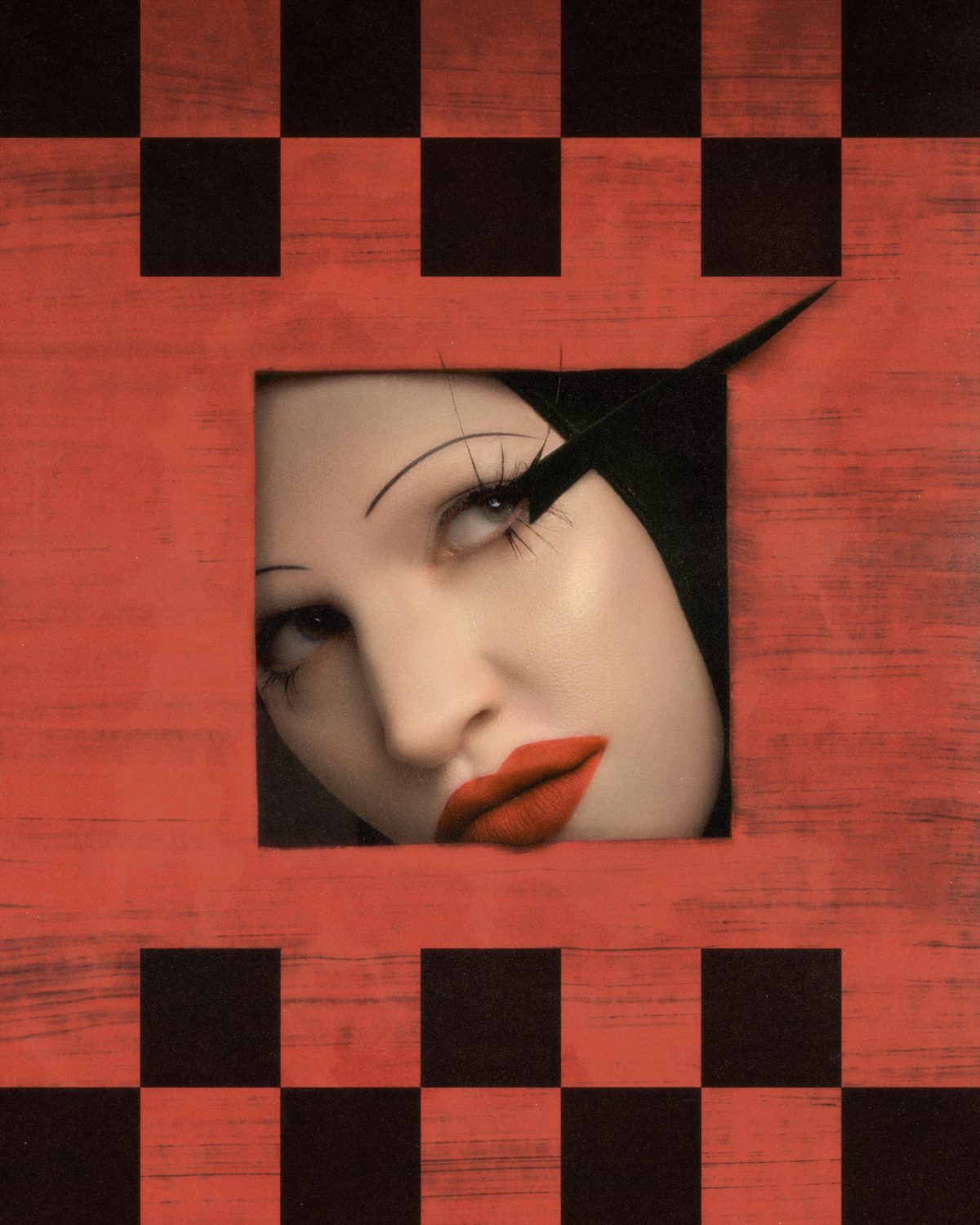 Lisi — photo 2 by Edgars Hecmatyars